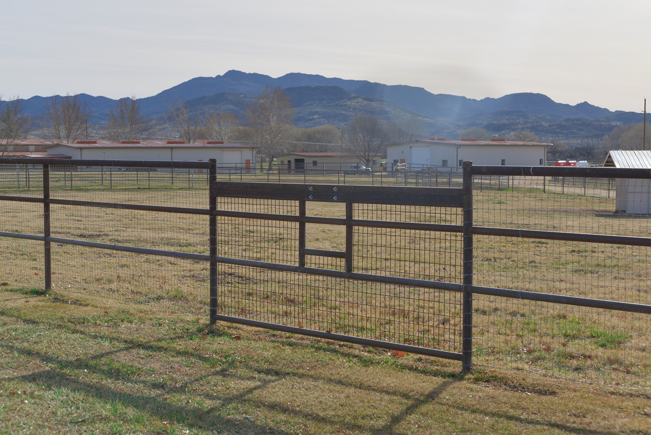 Gate in Pipe Fencing
