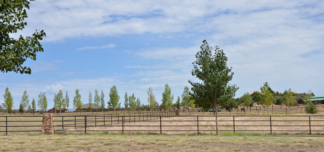 Pipe Fencing for Horse Run in Prescott AZ
