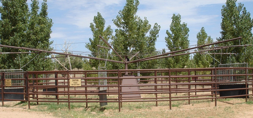 Stable Fencing Project